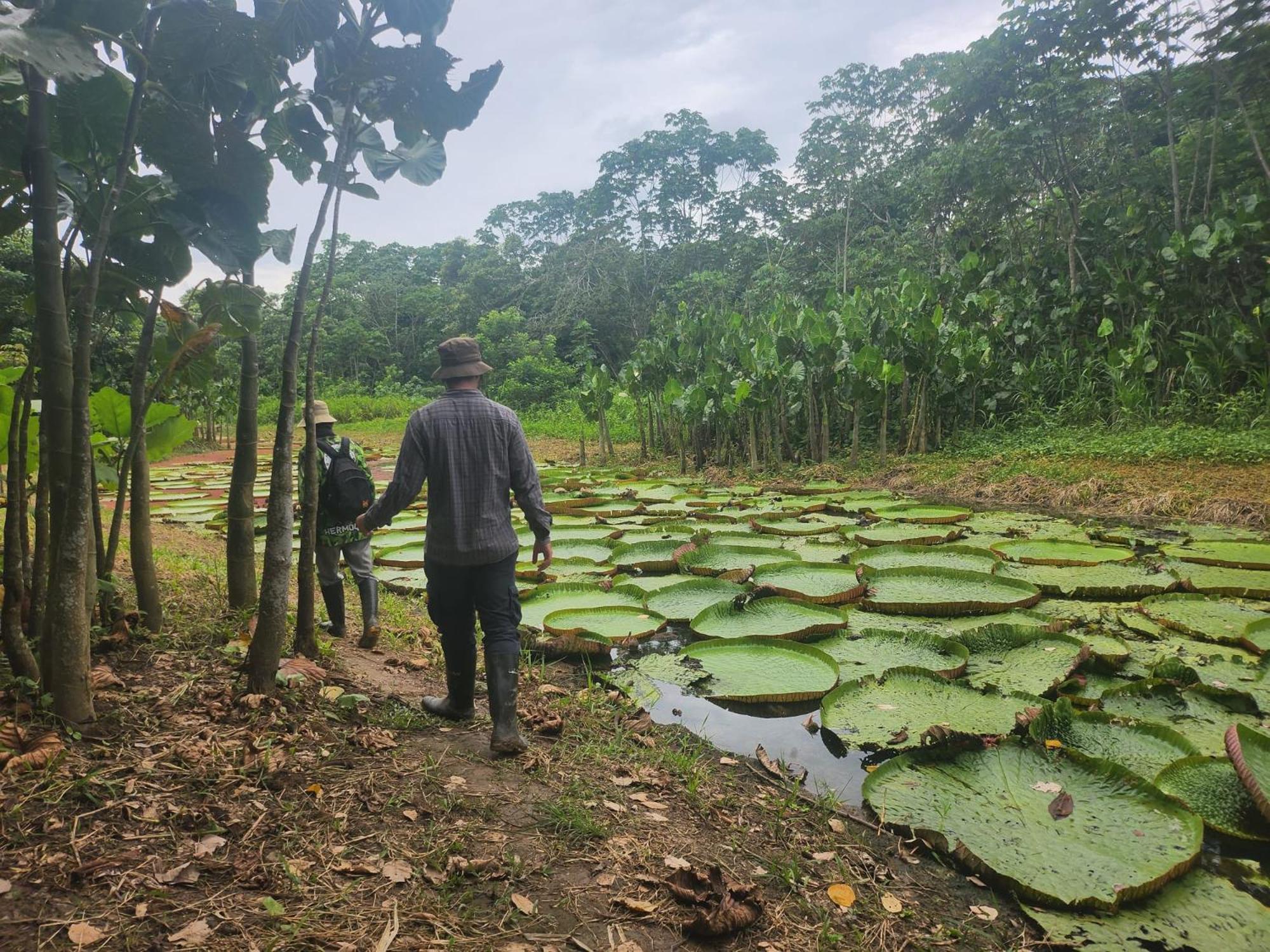 Hospedaje Y Tours Reina Arriera Amazonas Colombia Macedonia Buitenkant foto