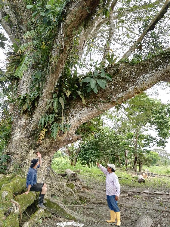 Hospedaje Y Tours Reina Arriera Amazonas Colombia Macedonia Buitenkant foto